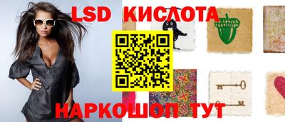 эйфоретик Майкоп